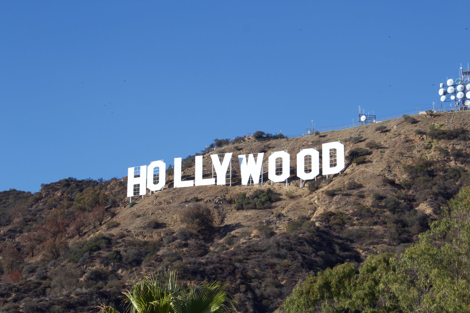Hollywood Sign011